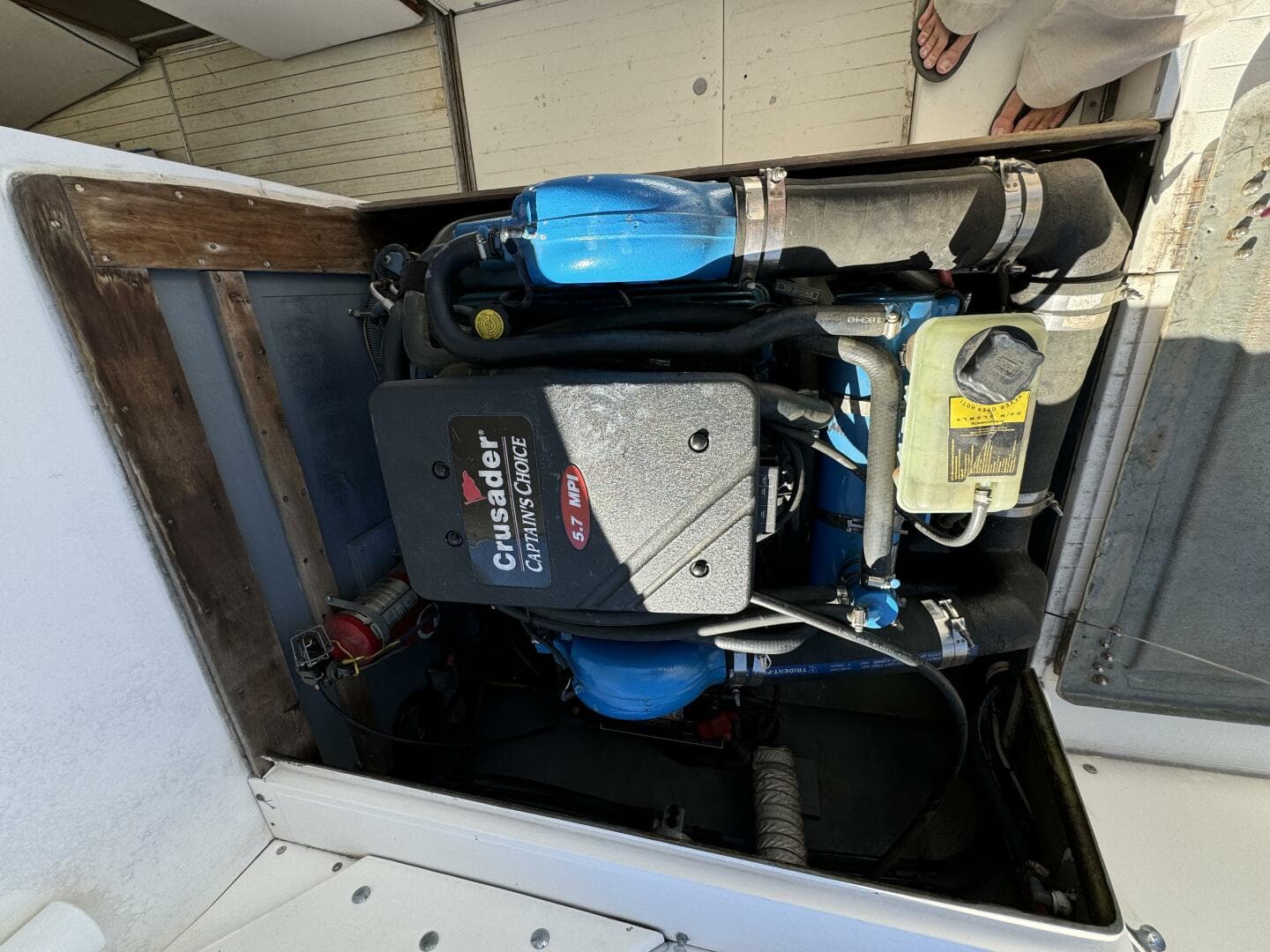 1977 Bertram 31 — photo 46