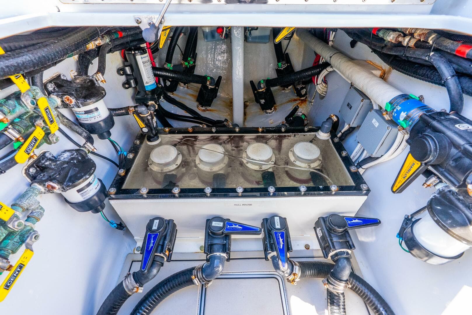 2023 Contender — photo 42