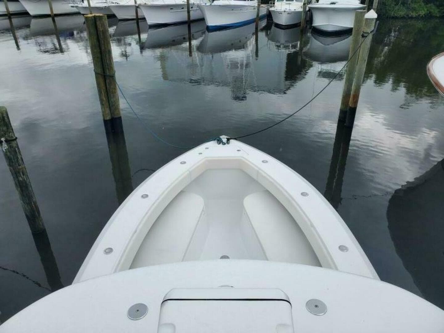 2014 Bahama FS — photo 19