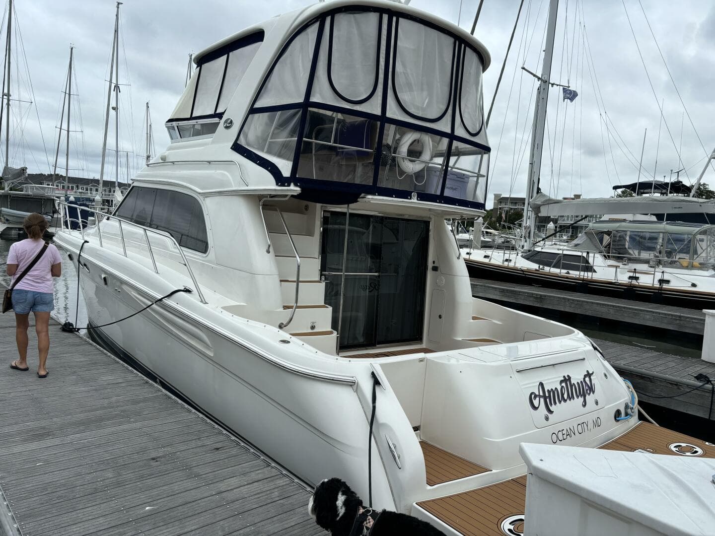 2004 Sea Ray 48 Sedan Bridge — photo 4