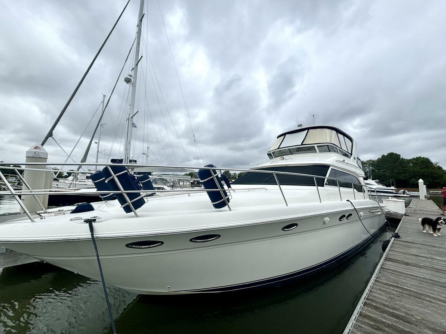 2004 Sea Ray 48 Sedan Bridge — photo 2
