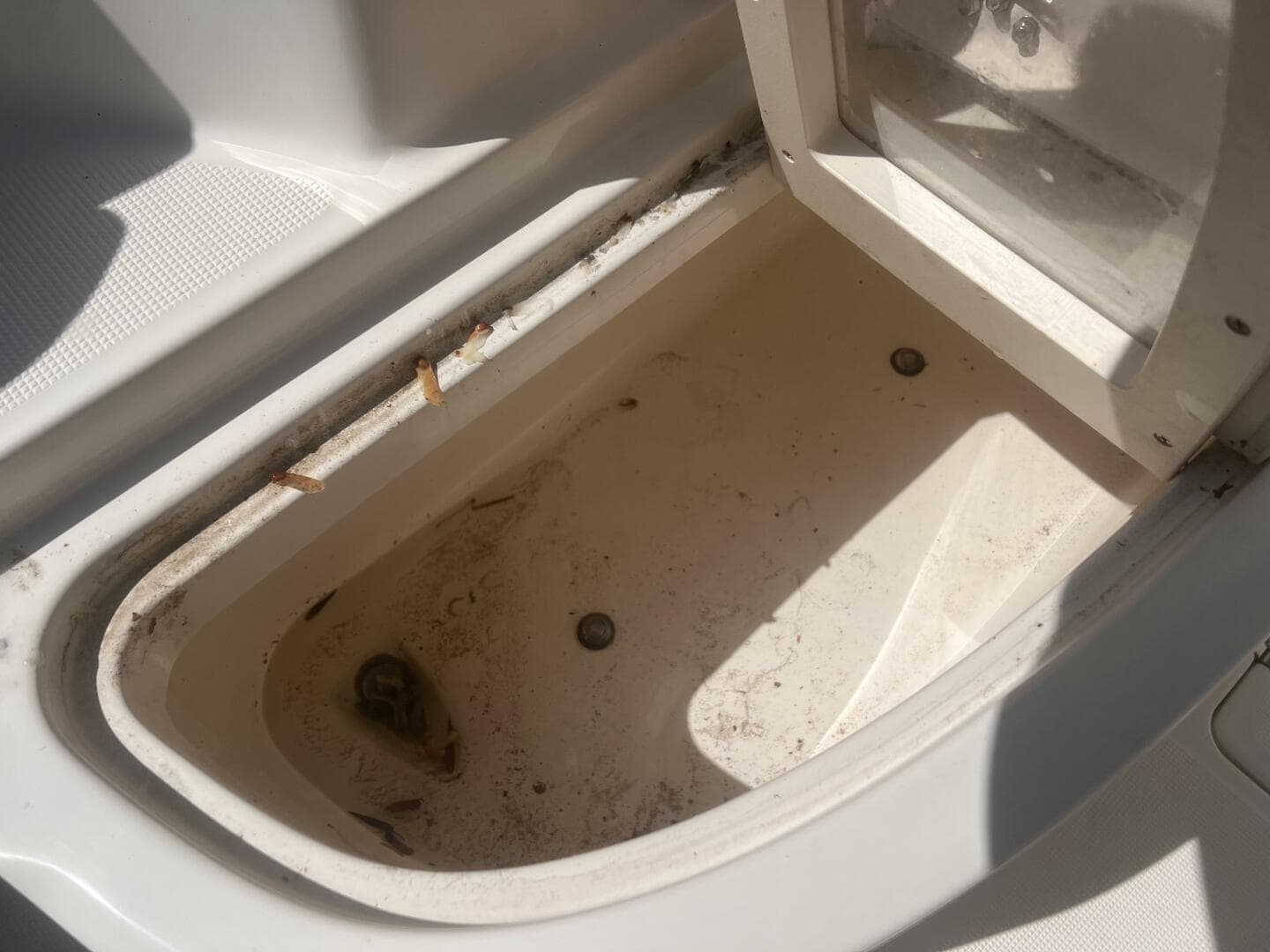 2004 Robalo R225 Walk Around — photo 15