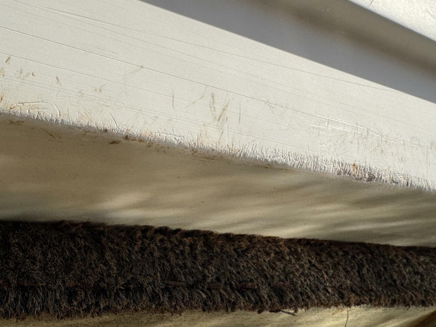 1994 Chaparral Signature 27 Cabin Cruiser — photo 234