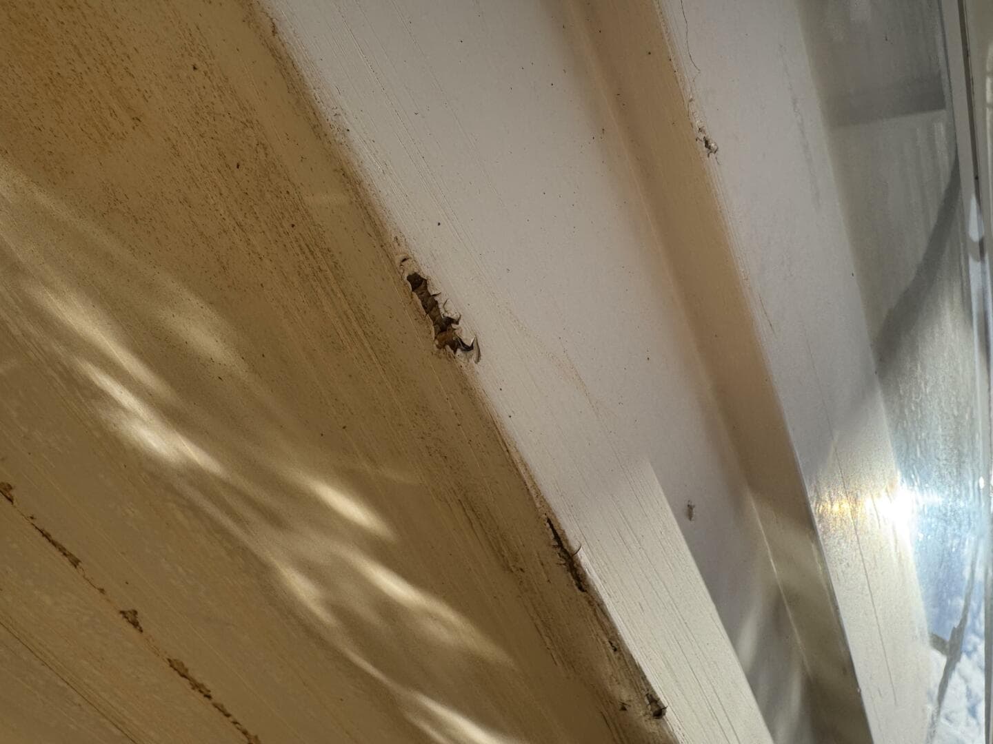 1994 Chaparral Signature 27 Cabin Cruiser — photo 197