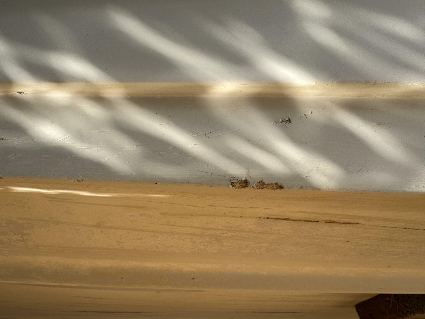 1994 Chaparral Signature 27 Cabin Cruiser — photo 226