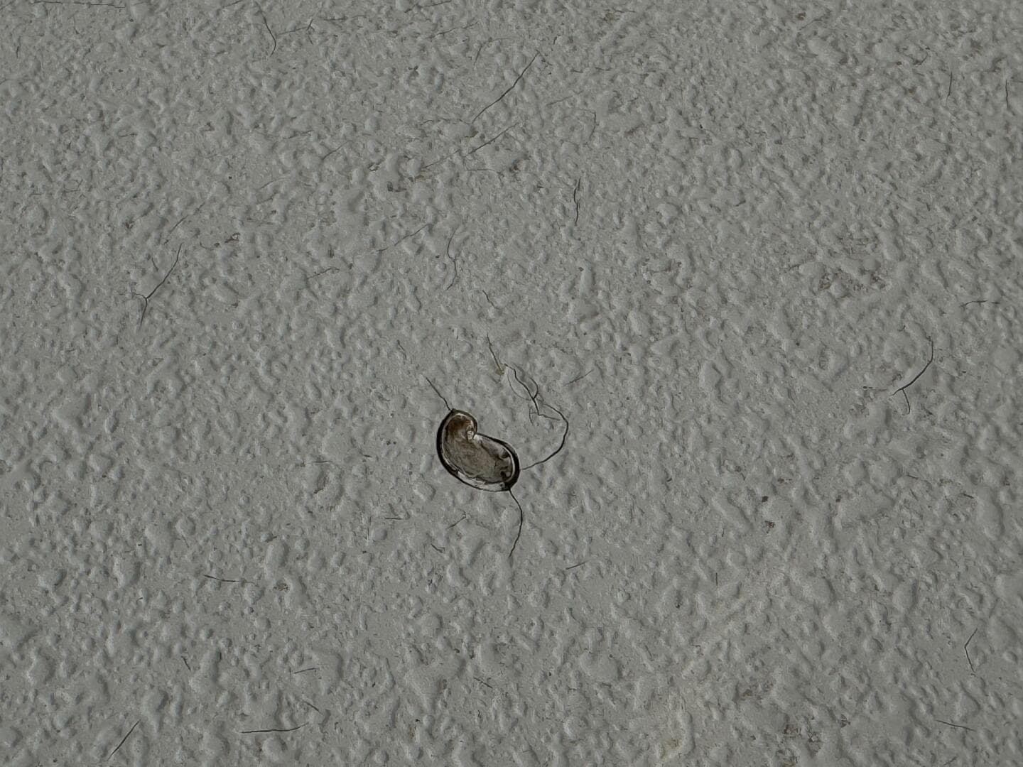 1994 Chaparral Signature 27 Cabin Cruiser — photo 94