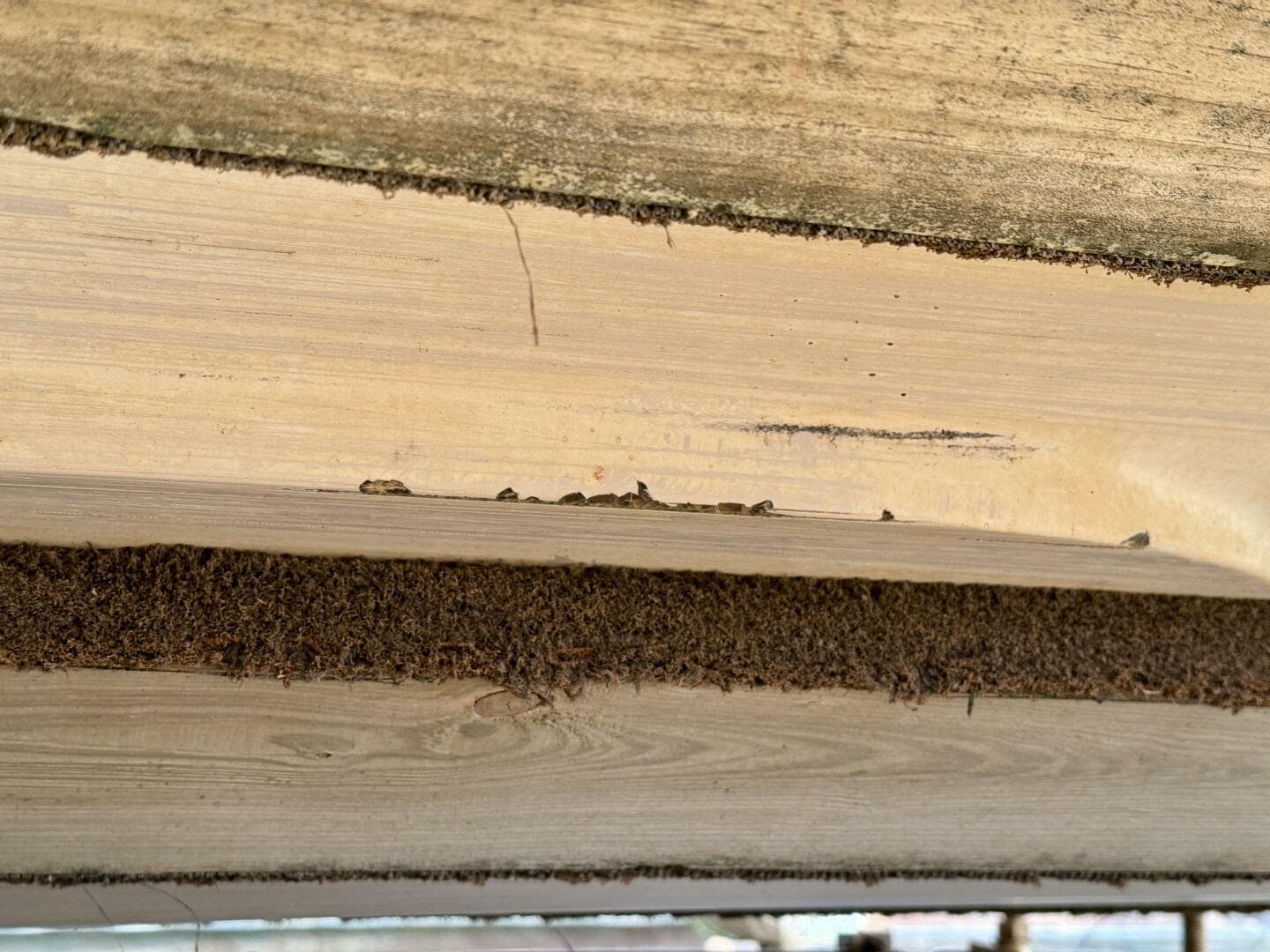 1994 Chaparral Signature 27 Cabin Cruiser — photo 239