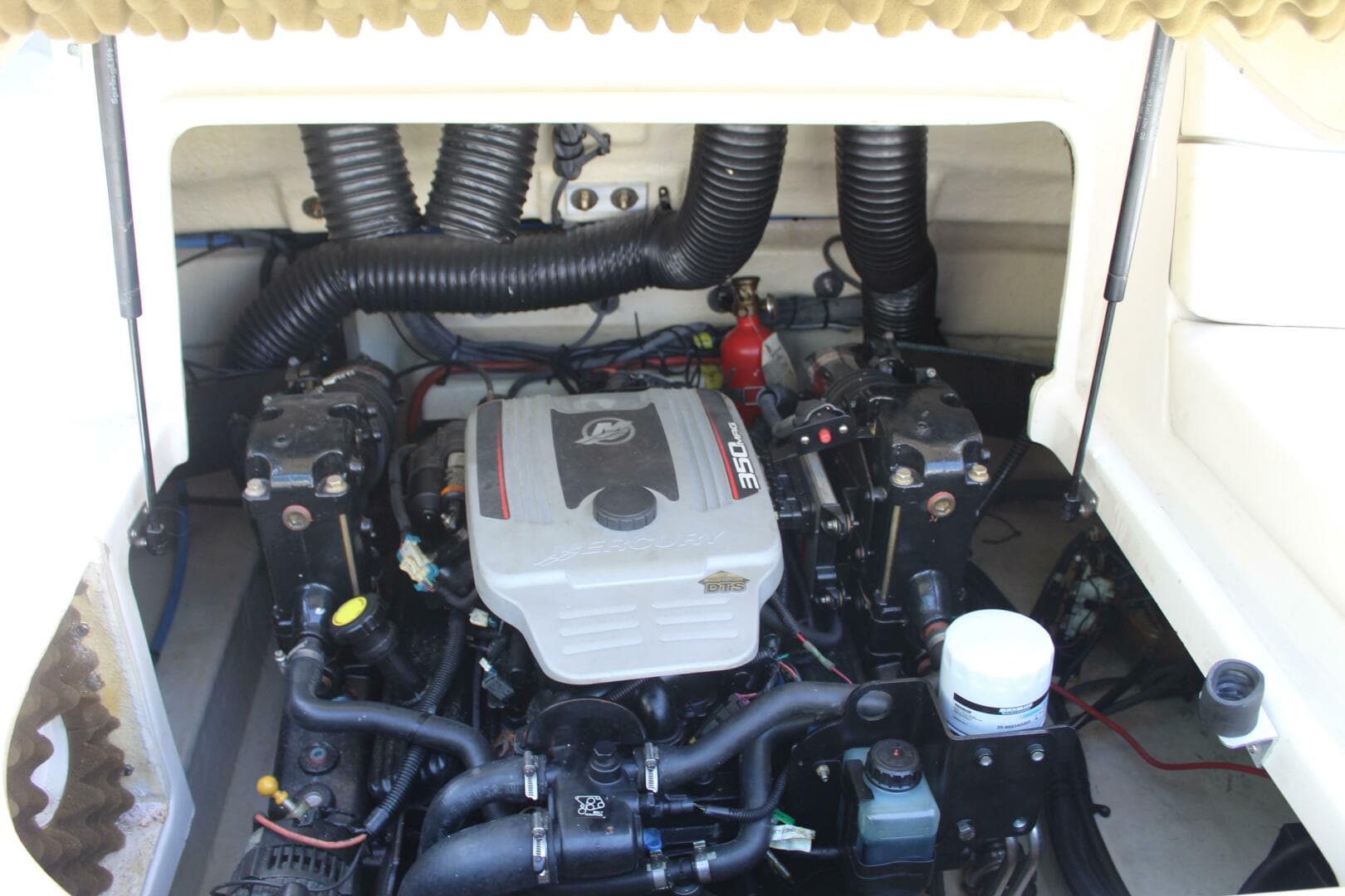 2008 Sea Ray 240 Sundeck — photo 23