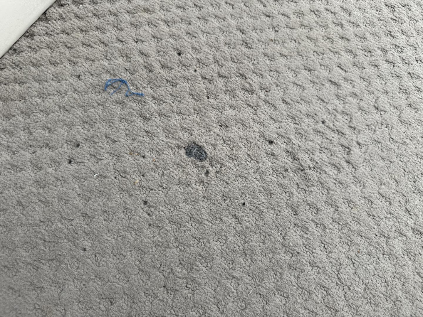 2002 Bennington 257L Pontoon — photo 54