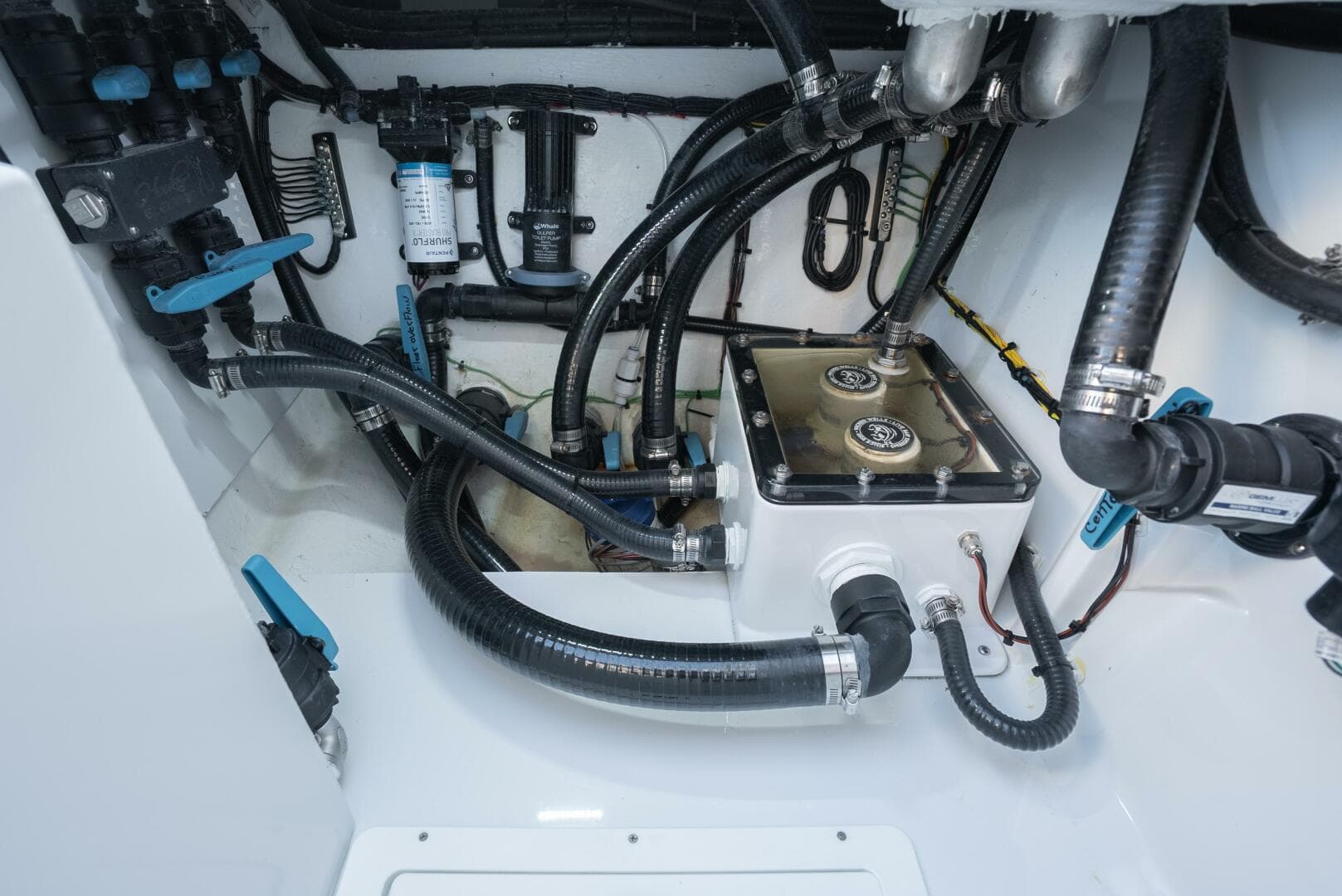 2026 Costa Custom 34 SV — photo 49