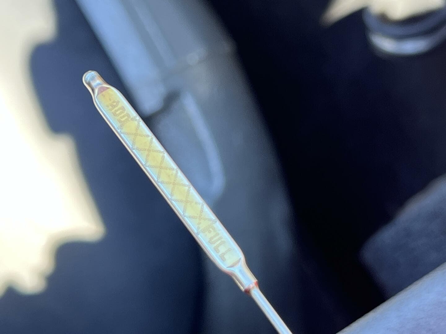 2021 Axis T23 — photo 20