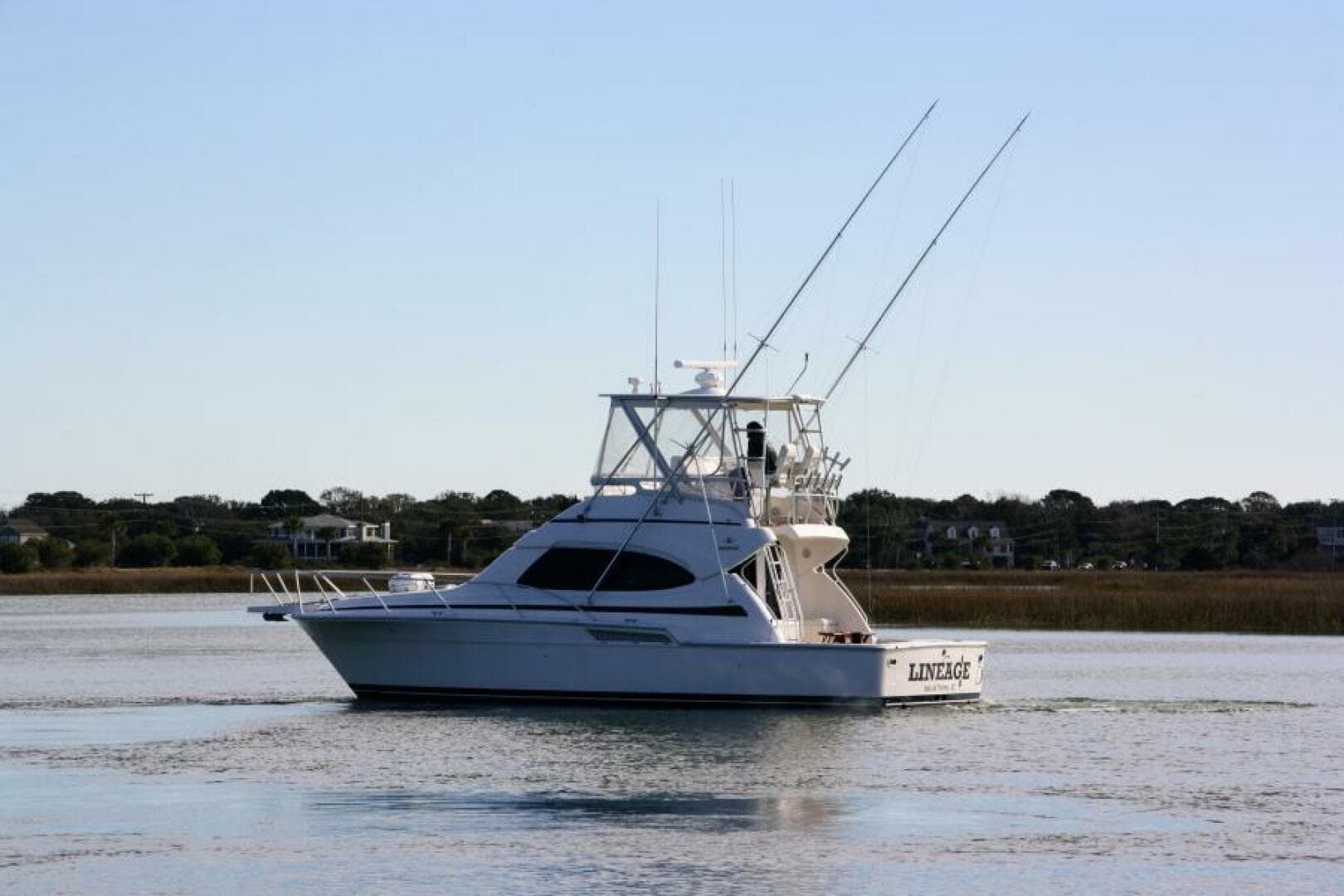 2003 Bertram 390 Convertible — photo 3