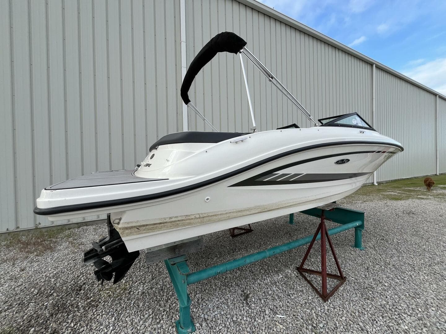 2015 Sea Ray 19 Spx — photo 4