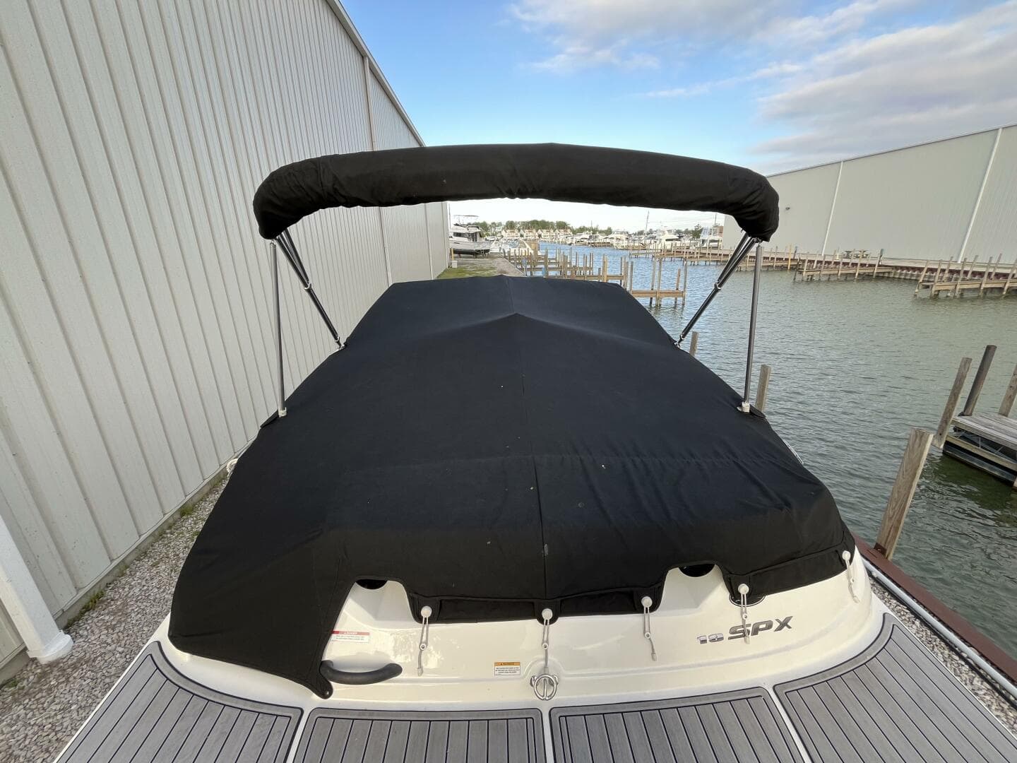2015 Sea Ray 19 Spx — photo 5