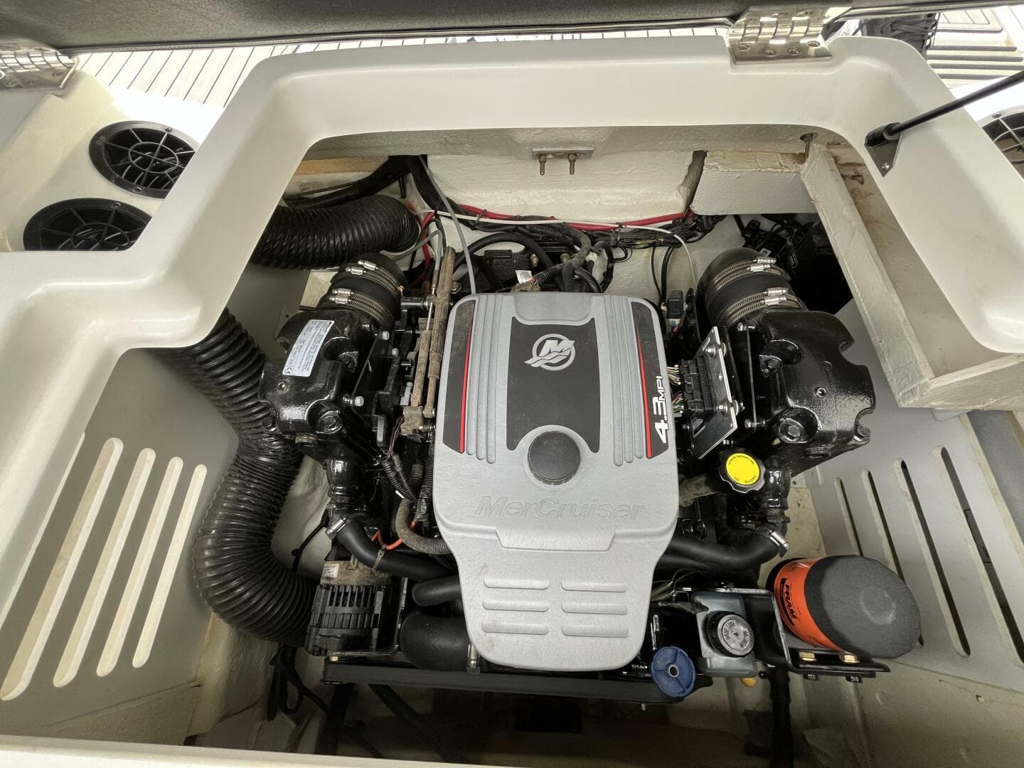 2015 Sea Ray 19 Spx — photo 19