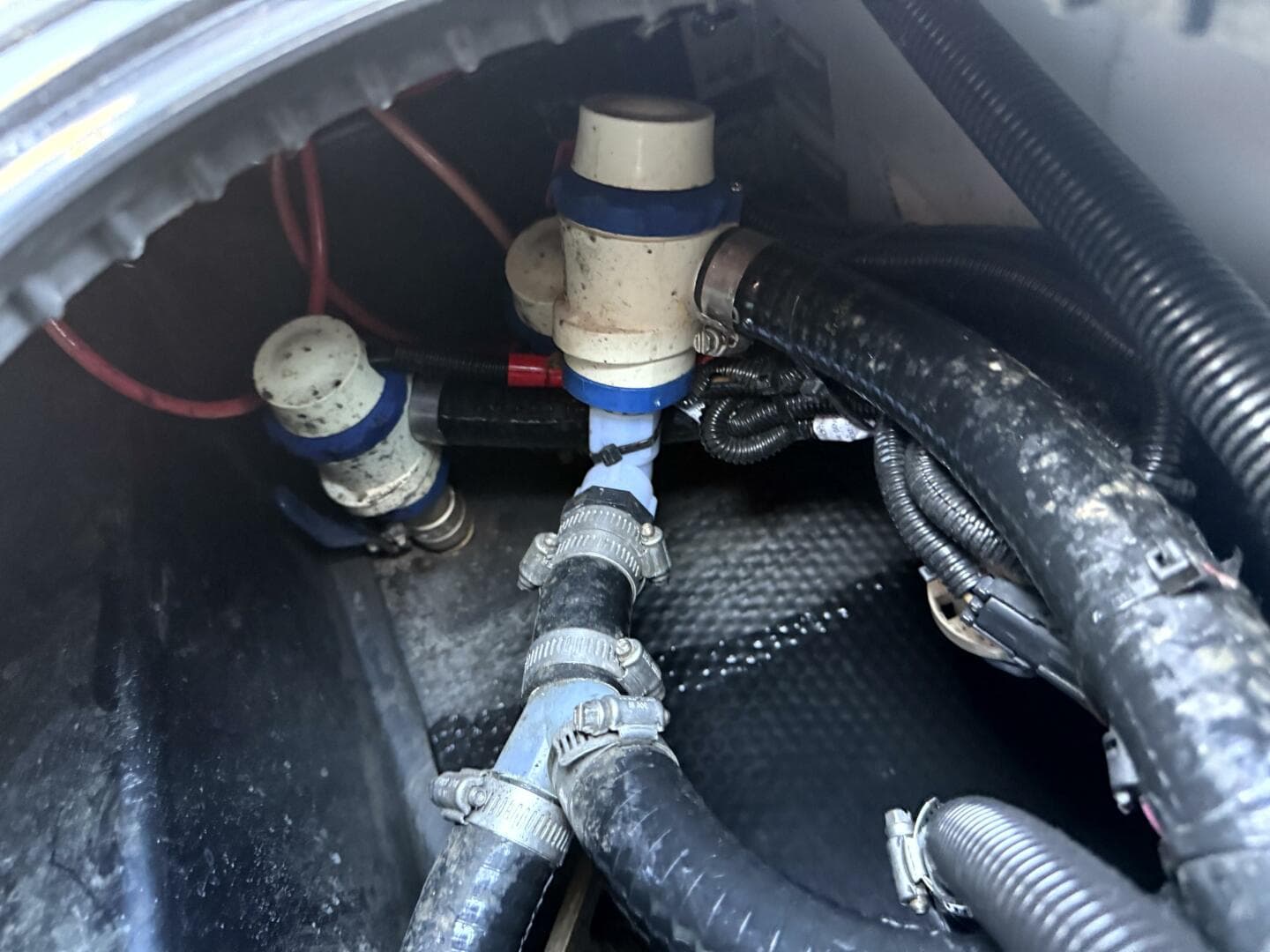 2020 Axis T23 — photo 55