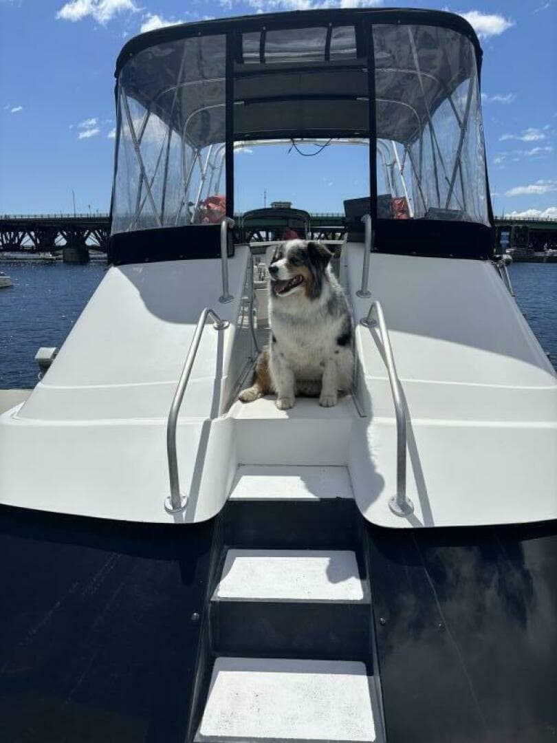 1990 Luhrs 3400 — photo 11