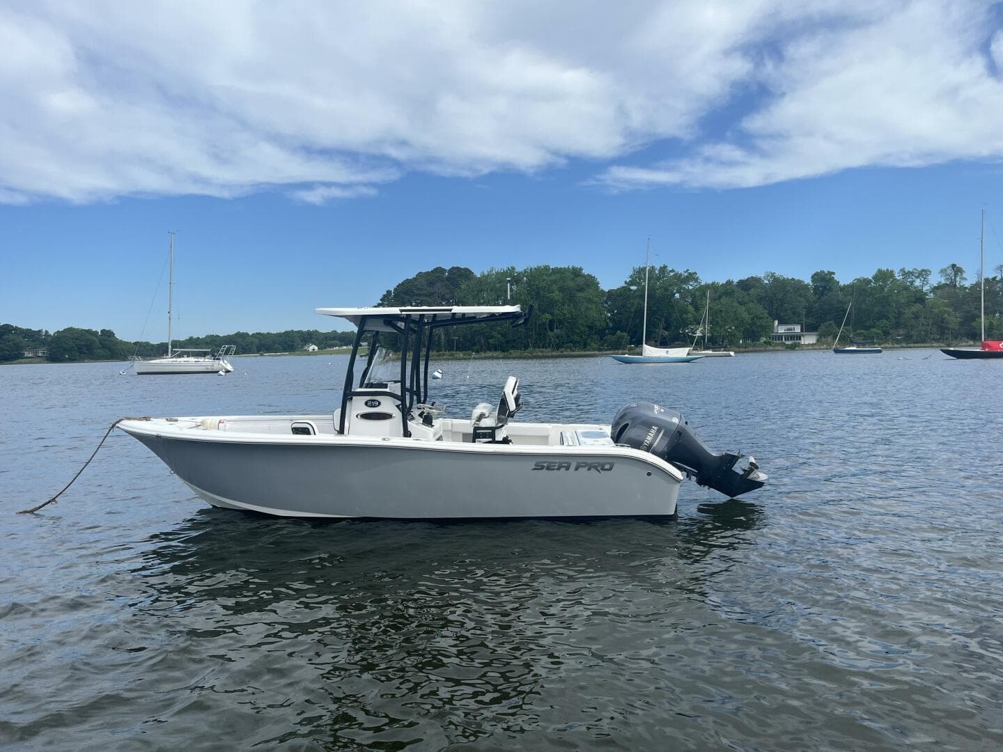 2022 Sea Pro — photo 5