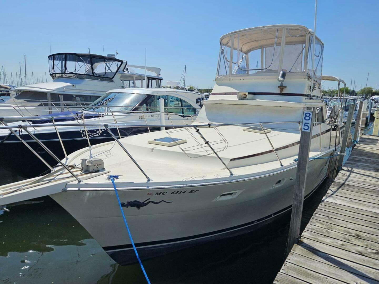 1977 Viking 43 Aft Cabin — photo 7