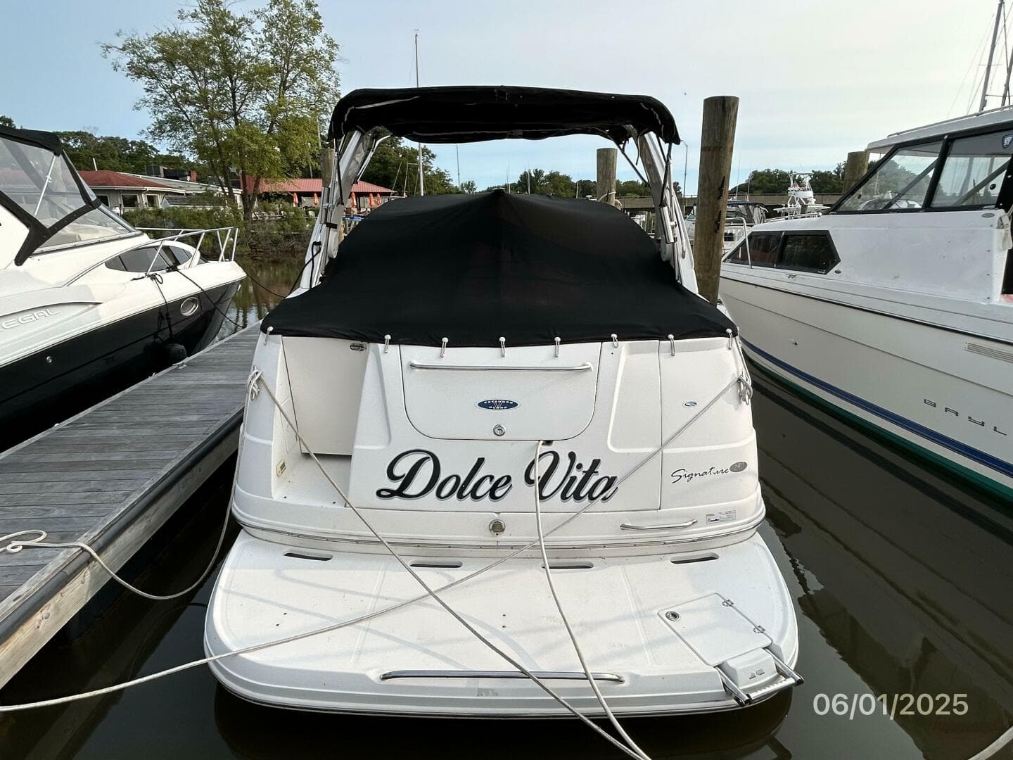 2006 Chaparral Signature 290 — photo 3