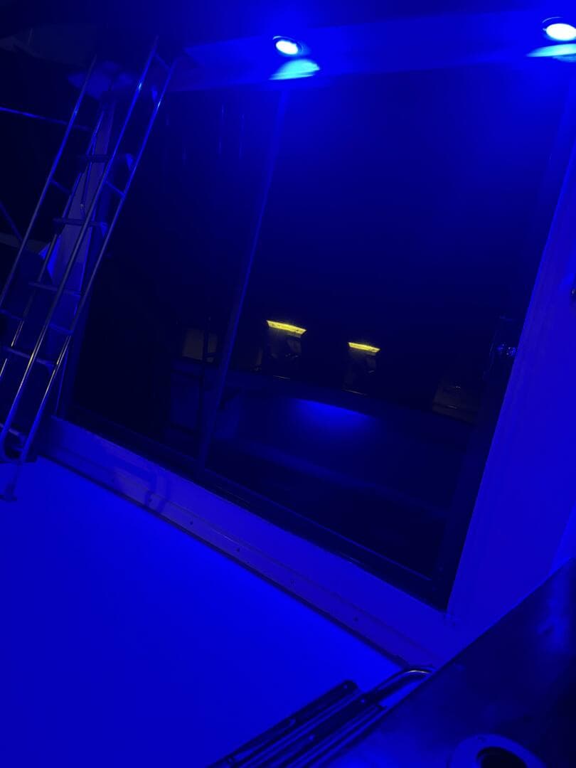 1978 Pacemaker — photo 28