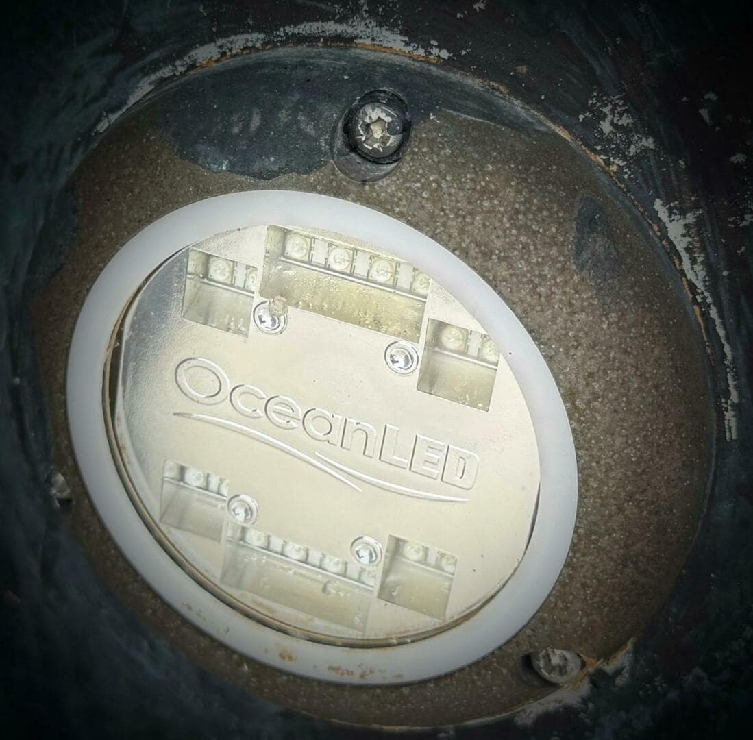 2019 Sea Ray 350 Sundancer — photo 31