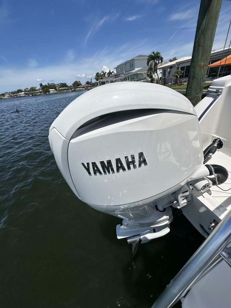 2024 World Cat 280 CC-X — photo 56