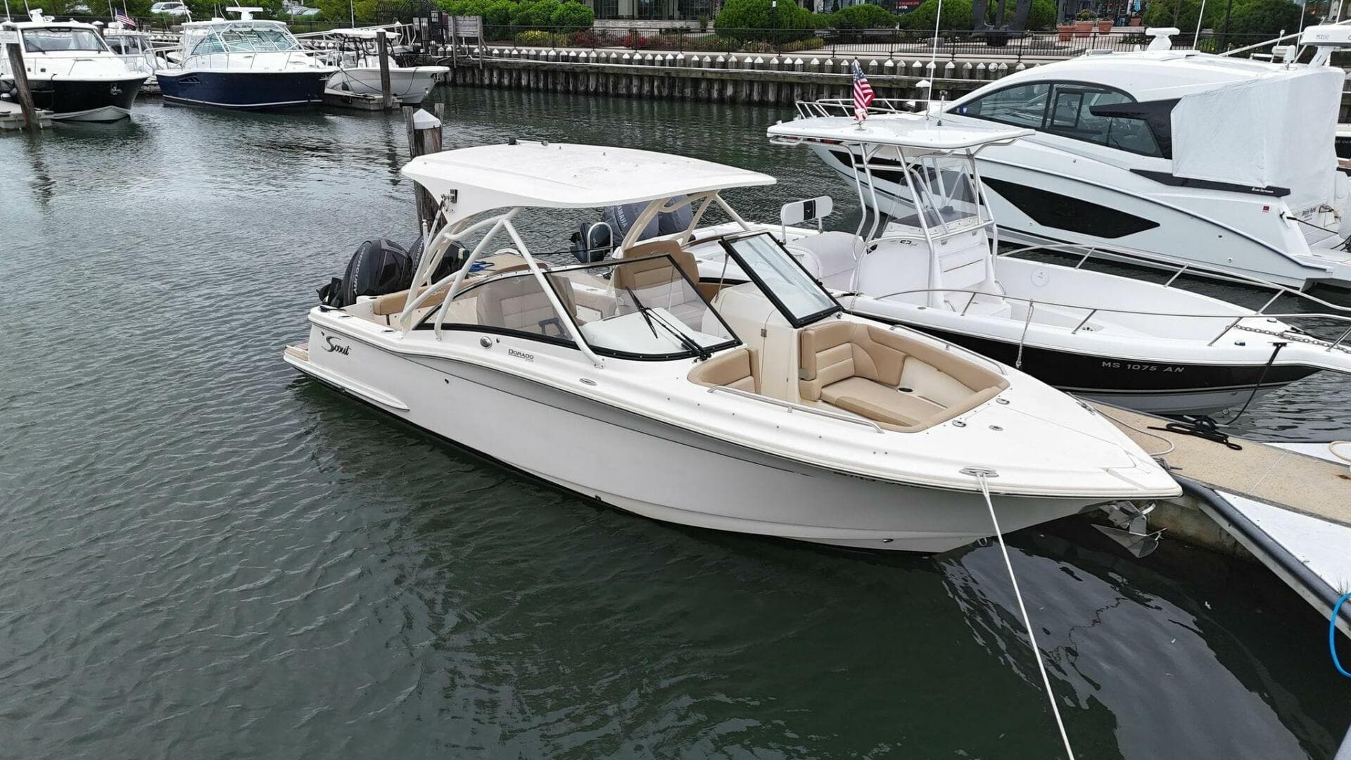 2019 Scout Dorado 255 — photo 1