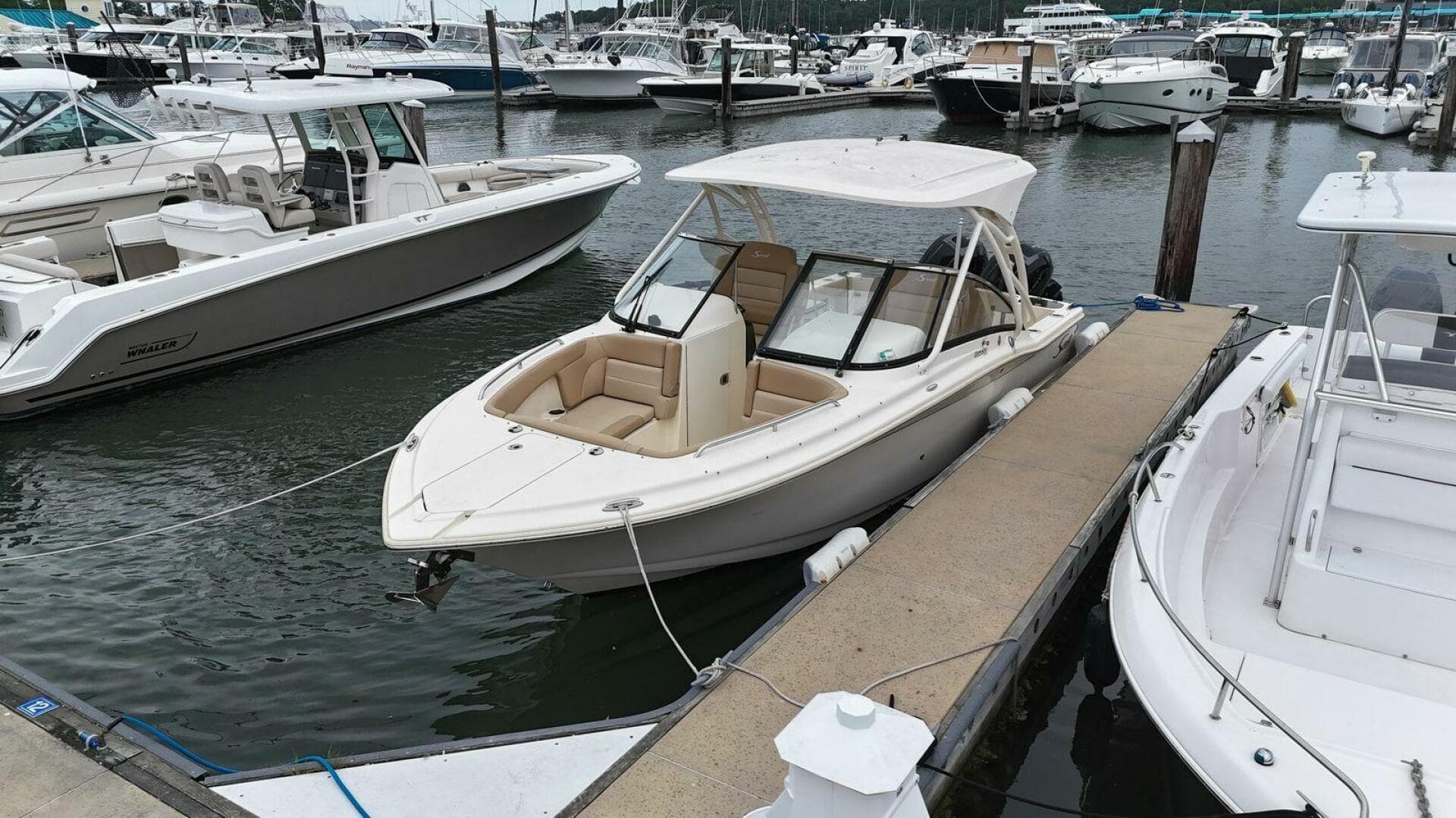 2019 Scout Dorado 255 — photo 2