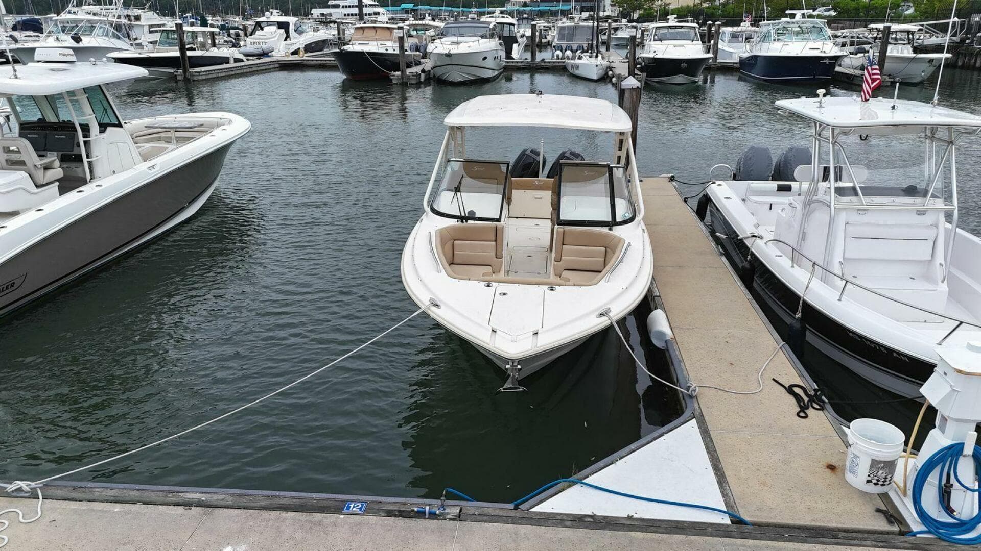 2019 Scout Dorado 255 — photo 3