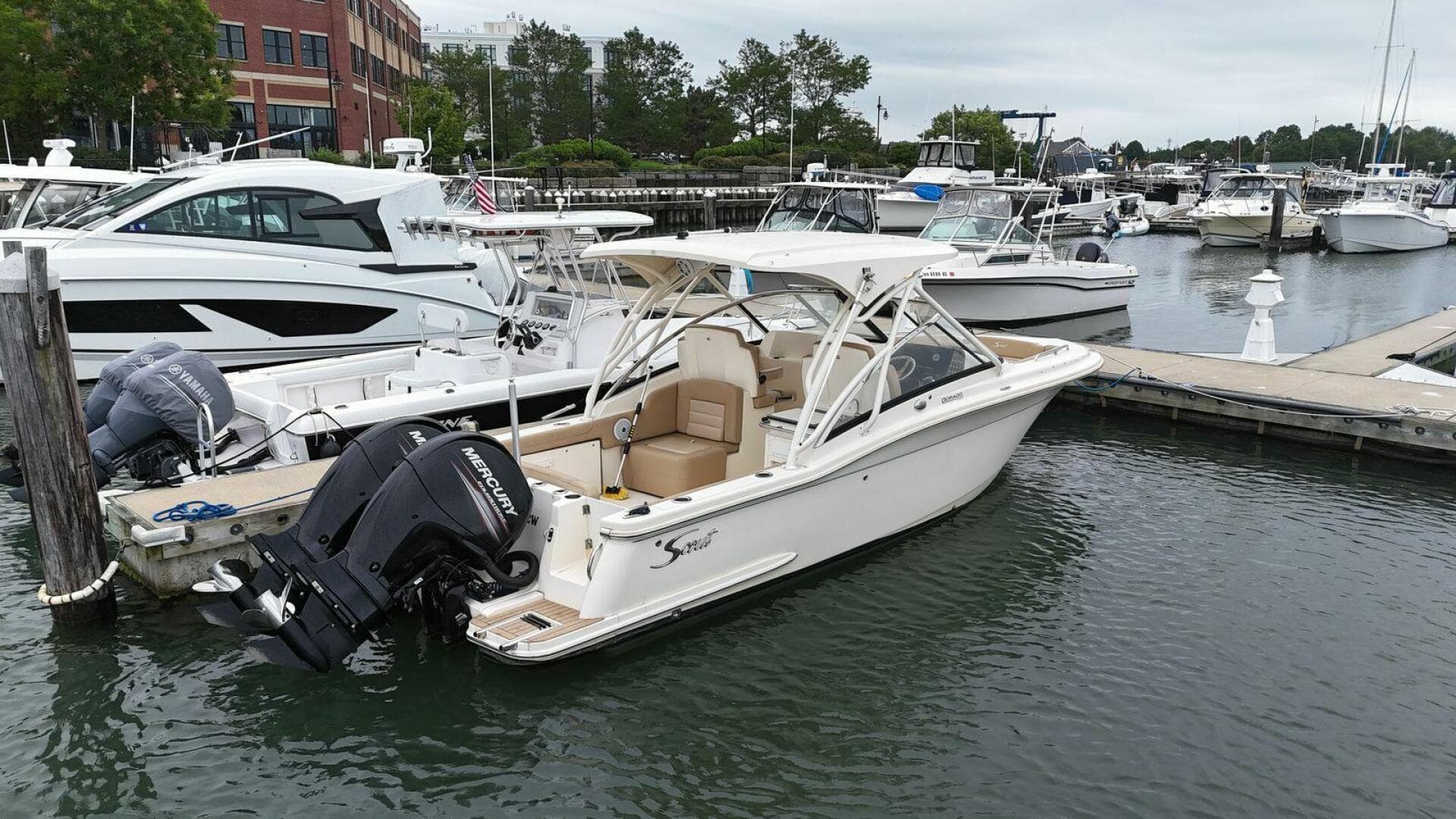 2019 Scout Dorado 255 — photo 4