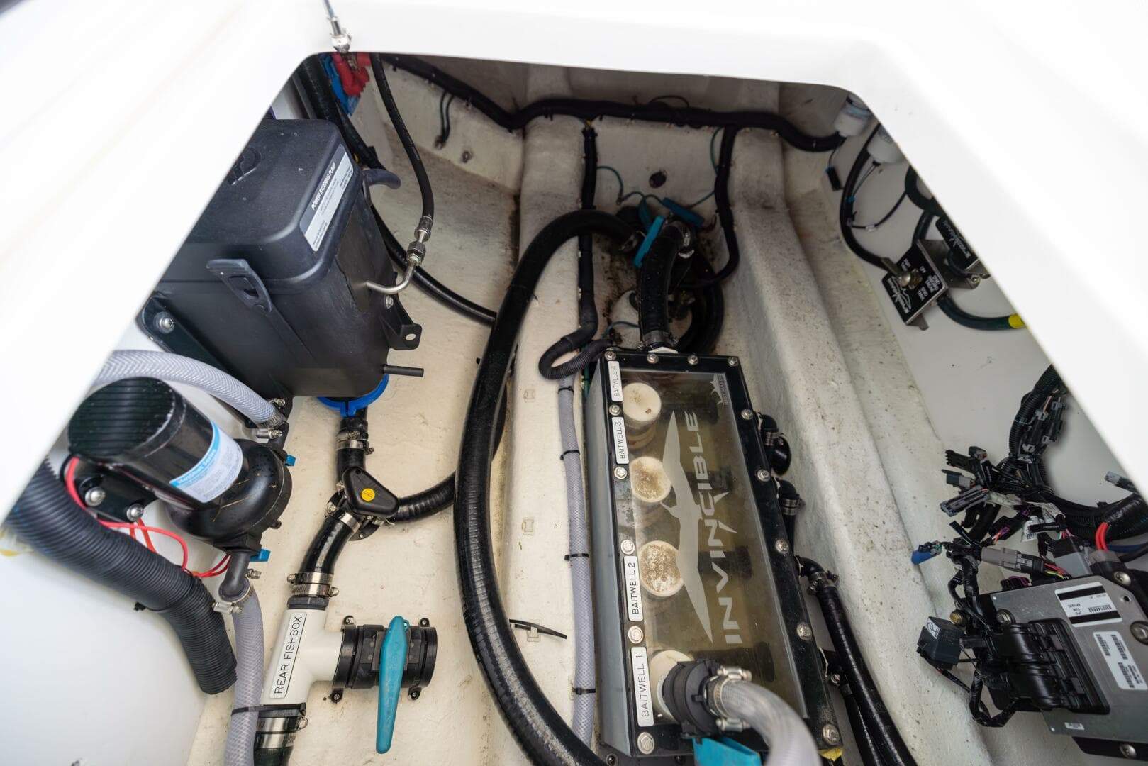 2024 Invincible — photo 54