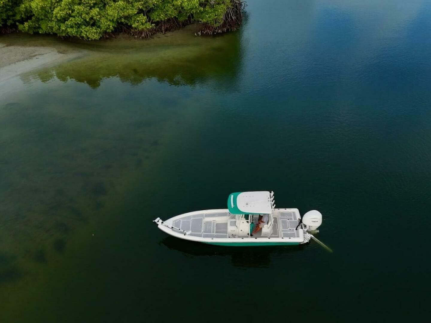 2009 Shearwater — photo 25