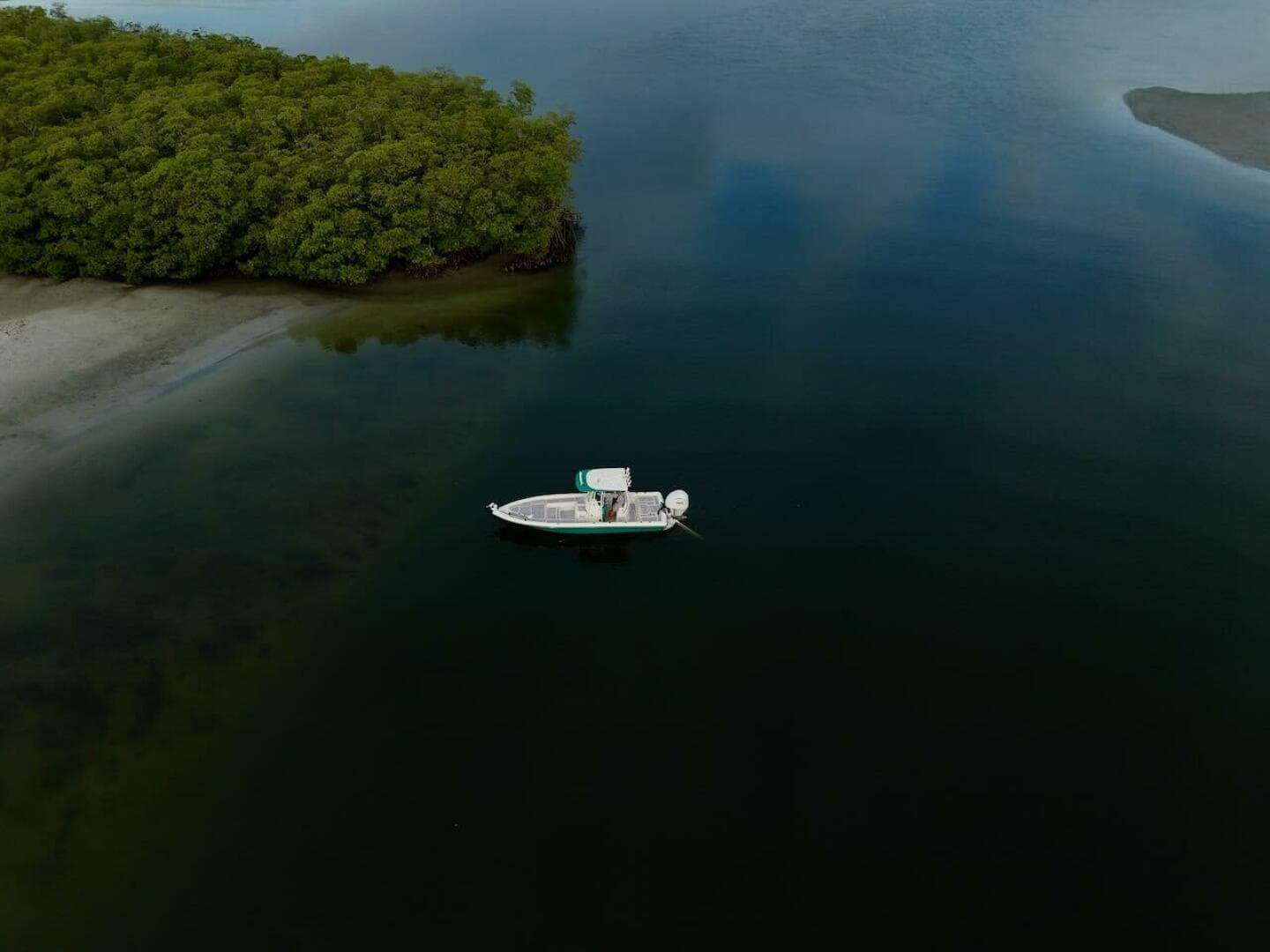 2009 Shearwater — photo 24