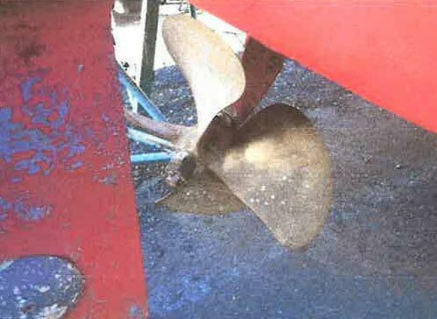 1994 Blackfin — photo 16