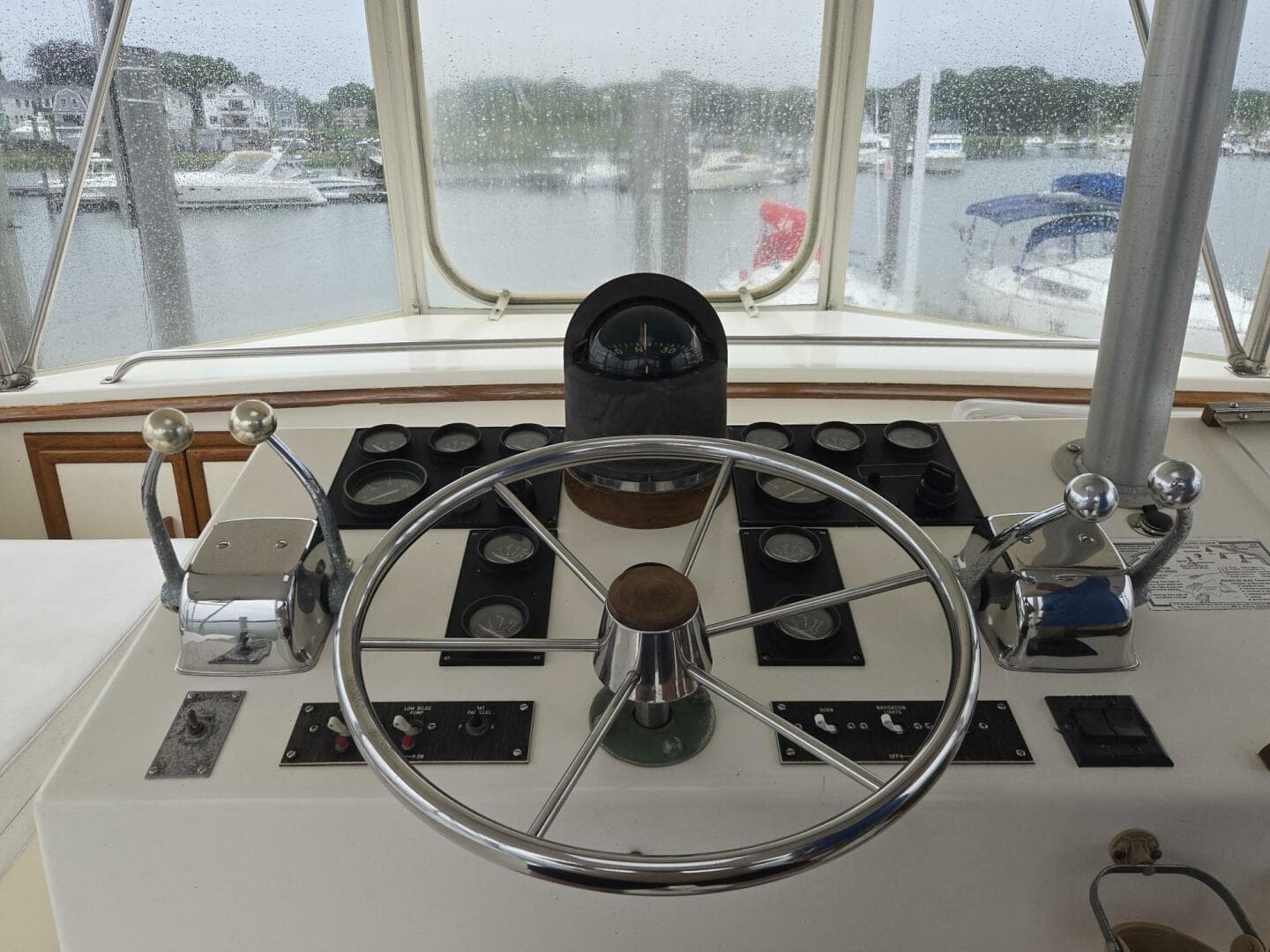 1985 Jersey Dawn — photo 3