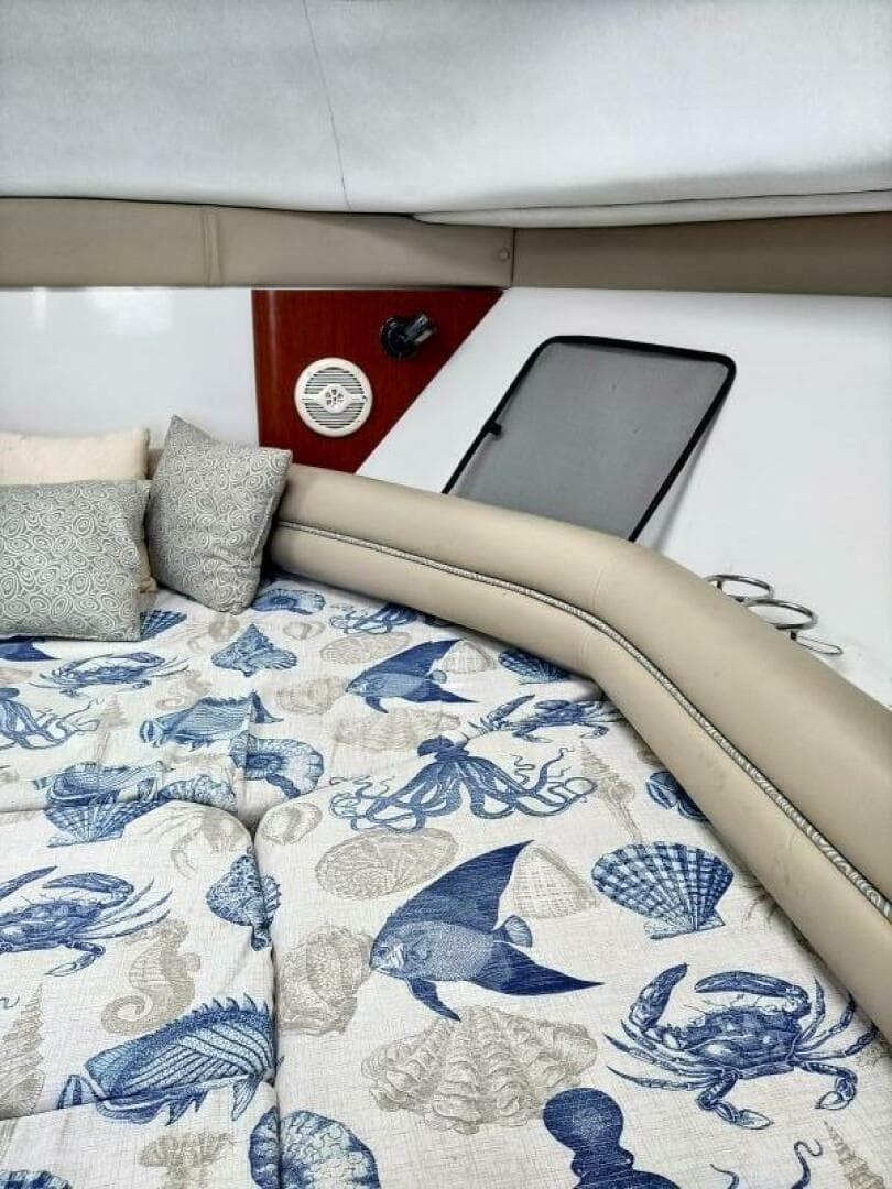 2005 Pro-Line 32 Express — photo 39