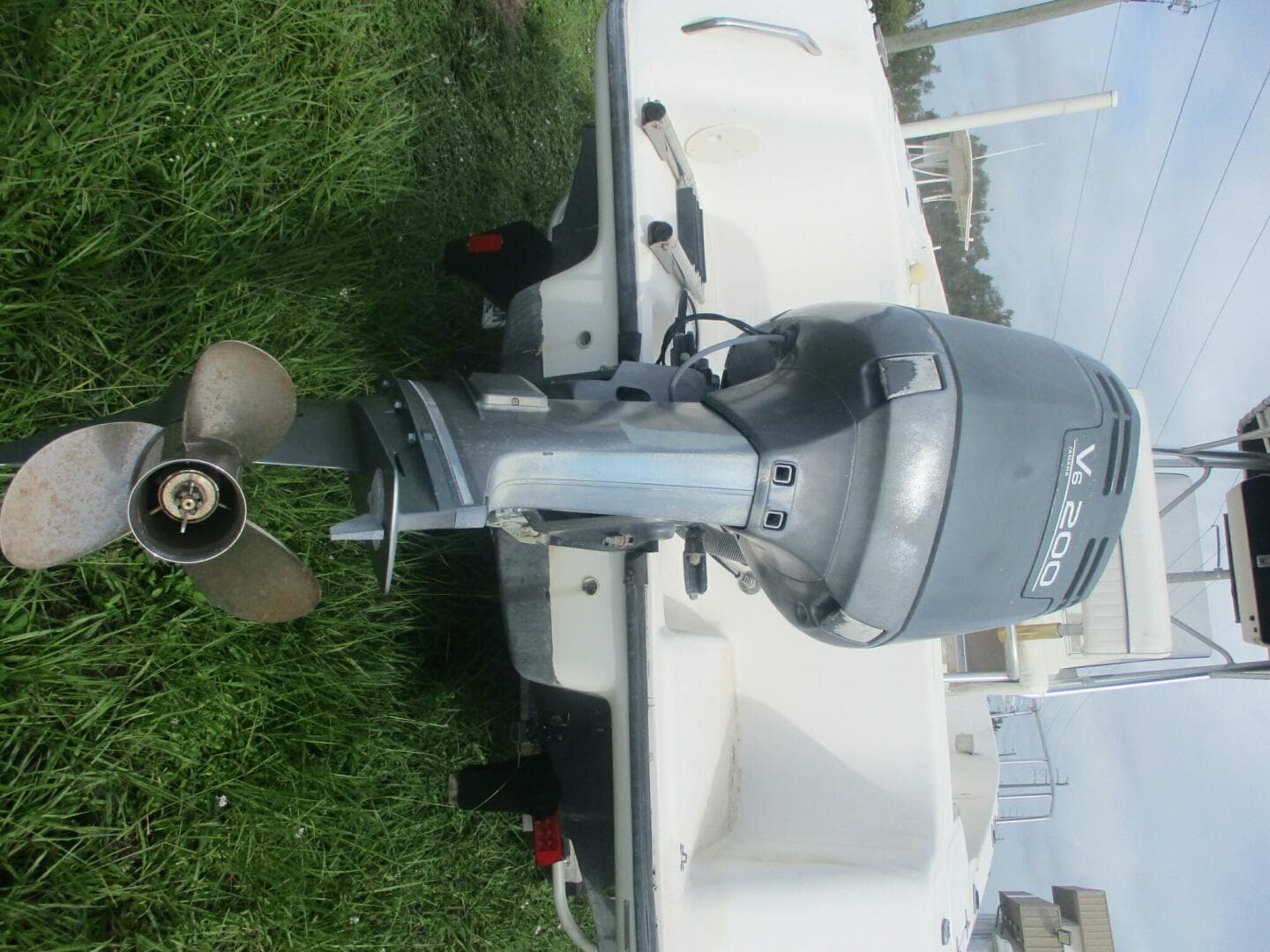 2000 Century — photo 4