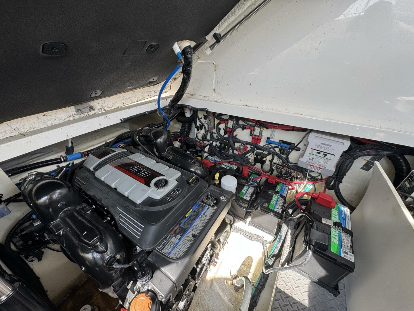 2019 Sea Ray 320 Sundancer — photo 87