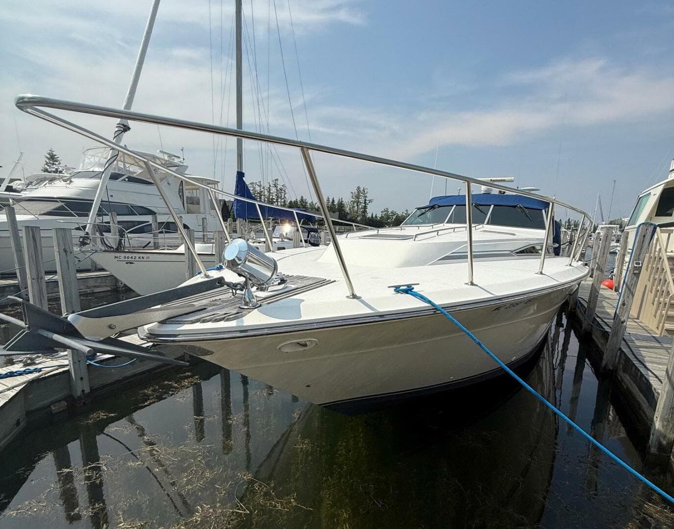 1989 Sea Ray 460 Express Cruiser — photo 3