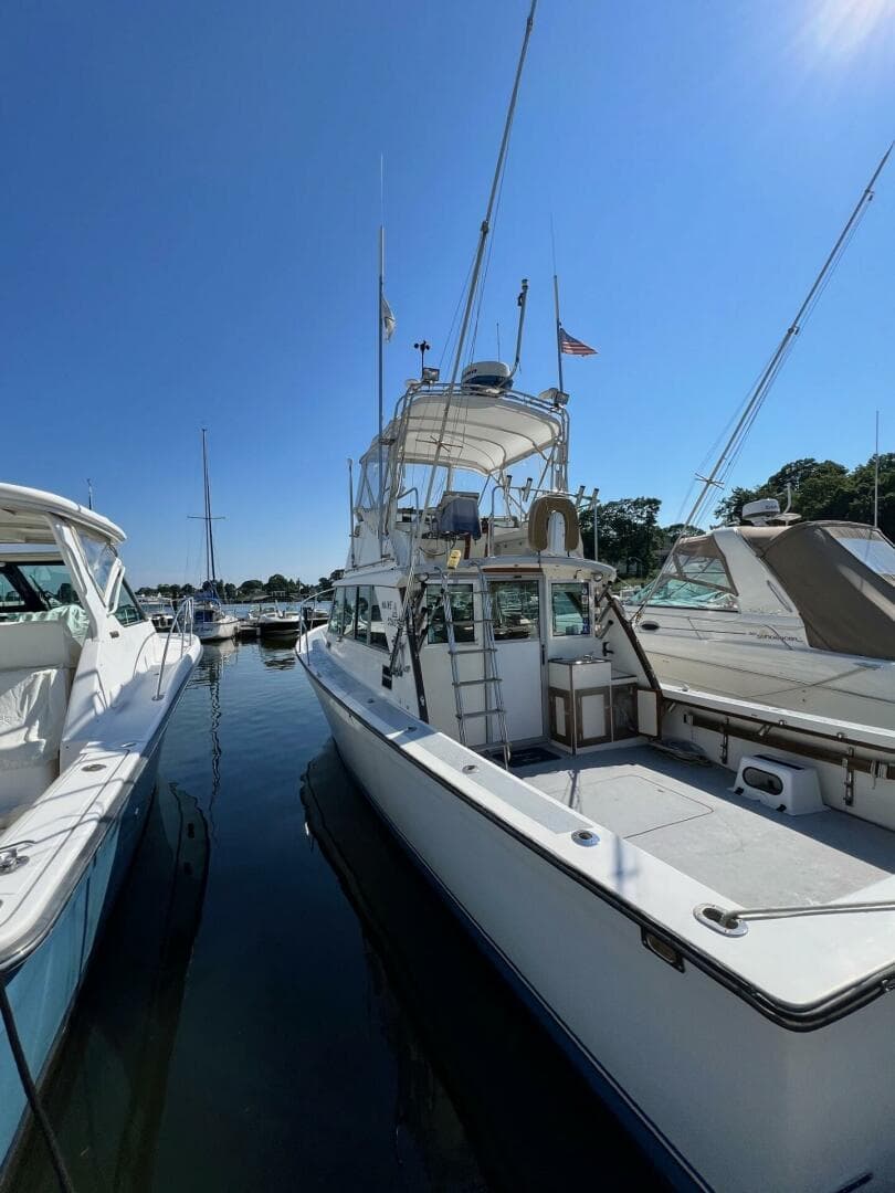1984 Henriques Maine Coaster — photo 13