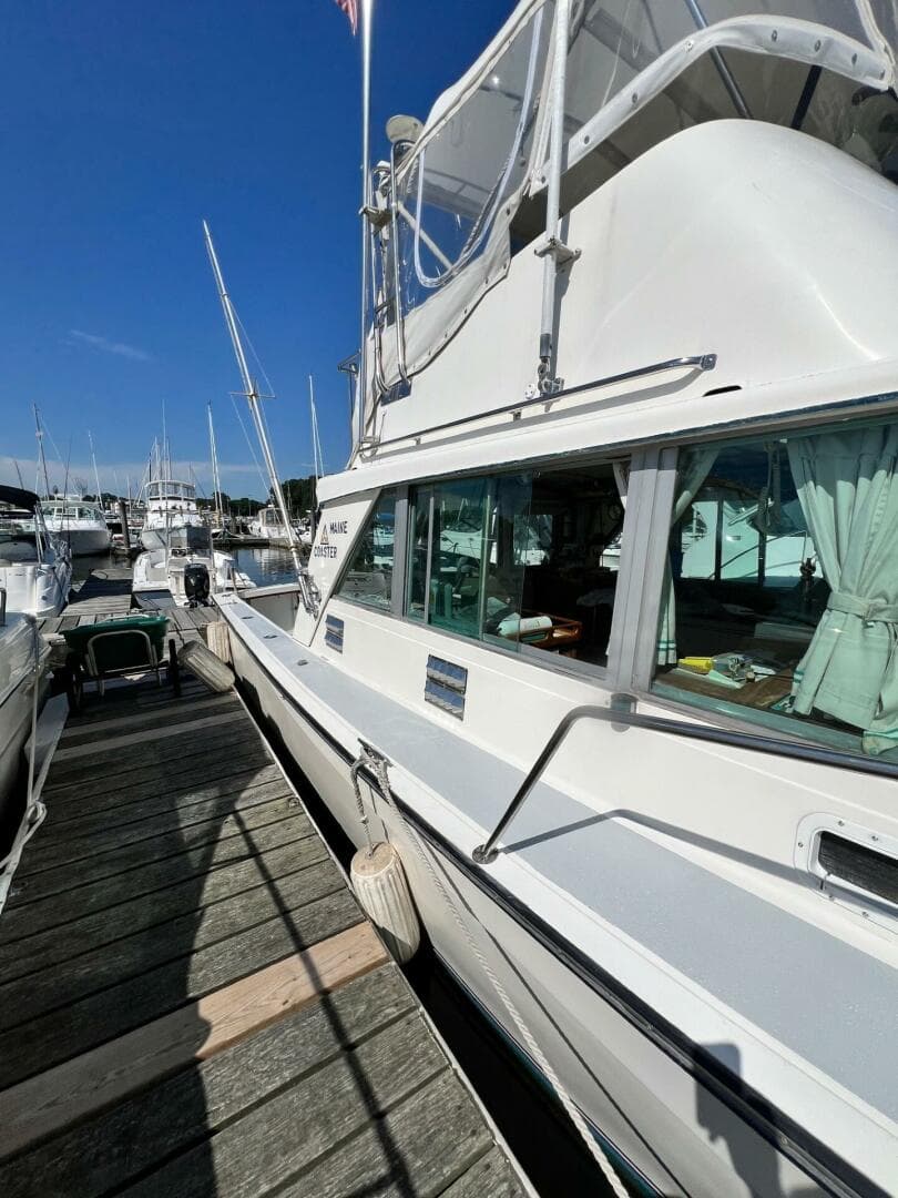 1984 Henriques Maine Coaster — photo 8