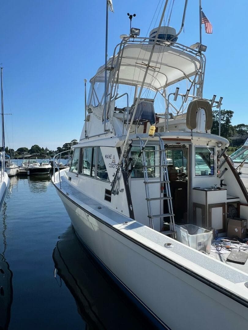 1984 Henriques Maine Coaster — photo 2
