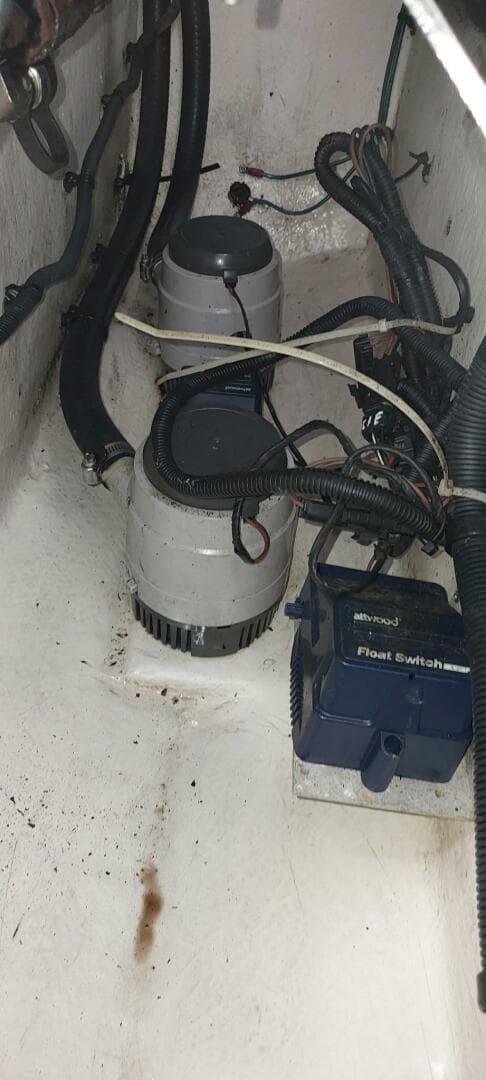 2009 Sea Ray — photo 27