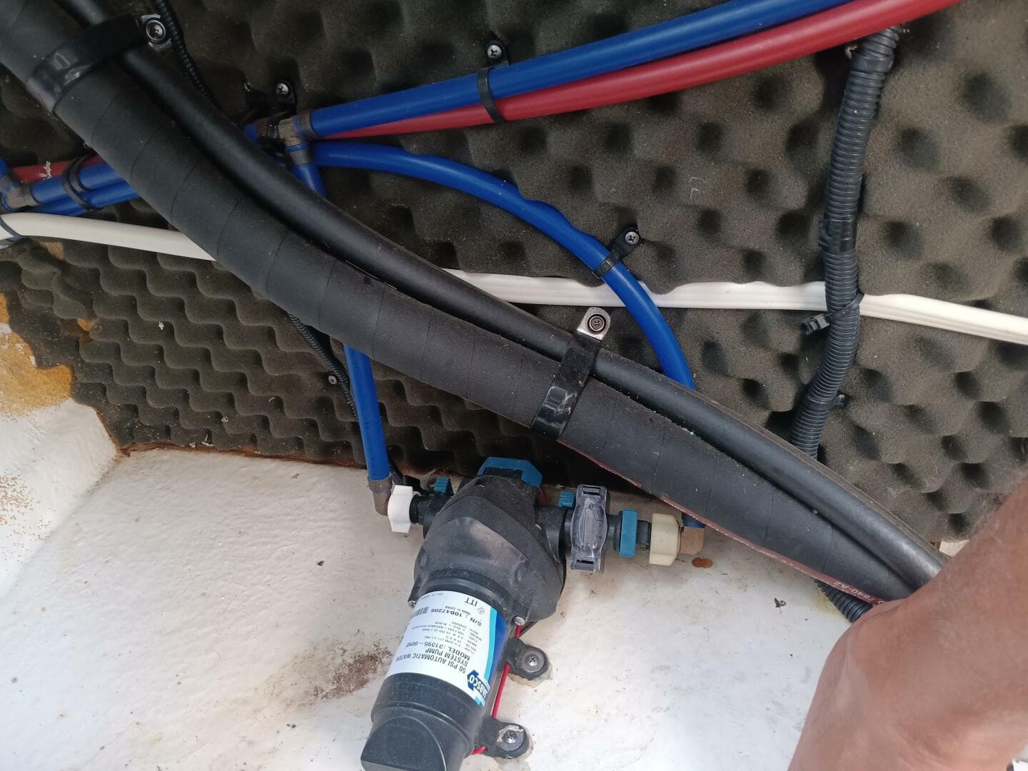 2010 Sea Ray 260 Sundancer — photo 38