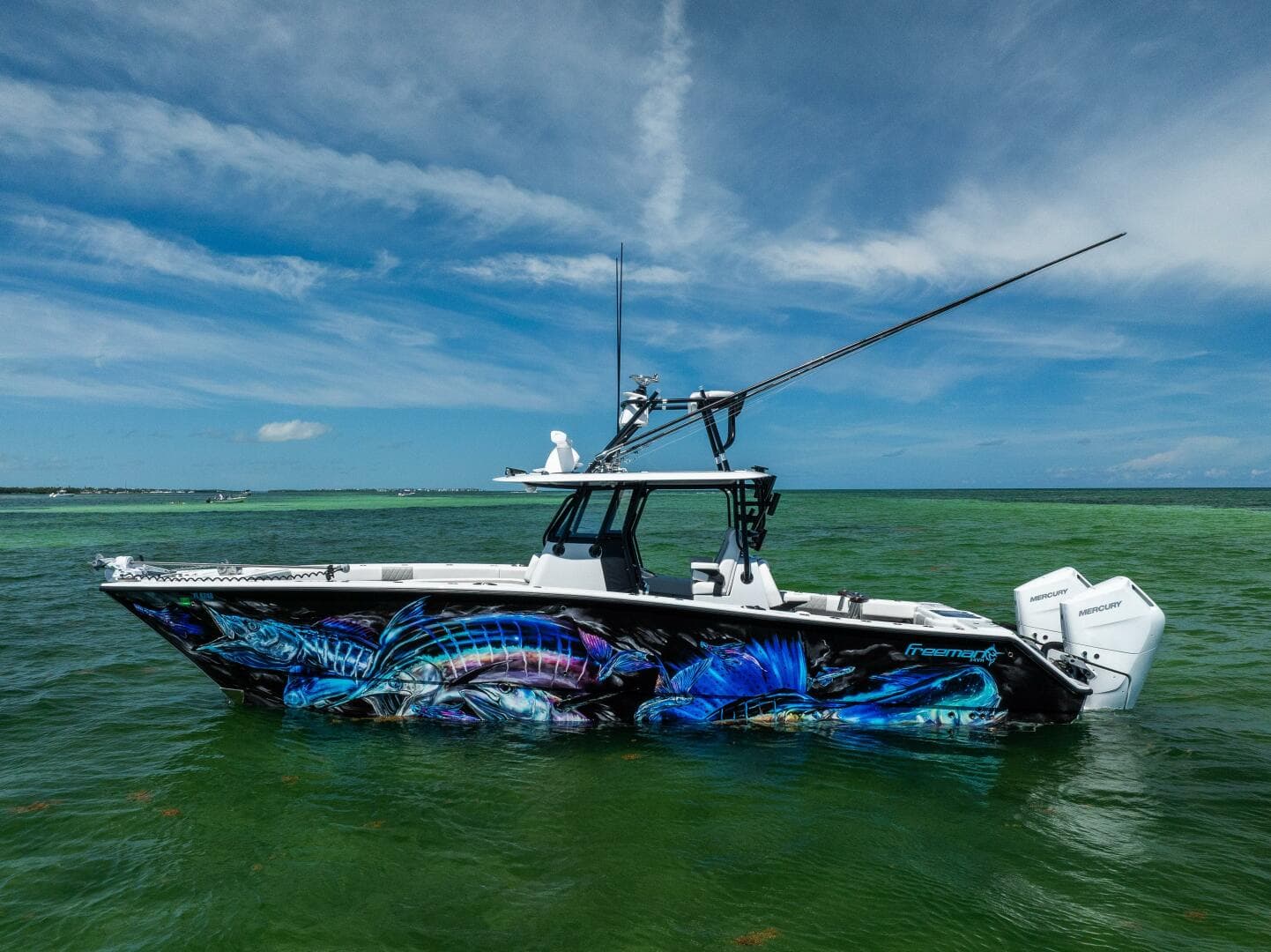 2025 Freeman — photo 2