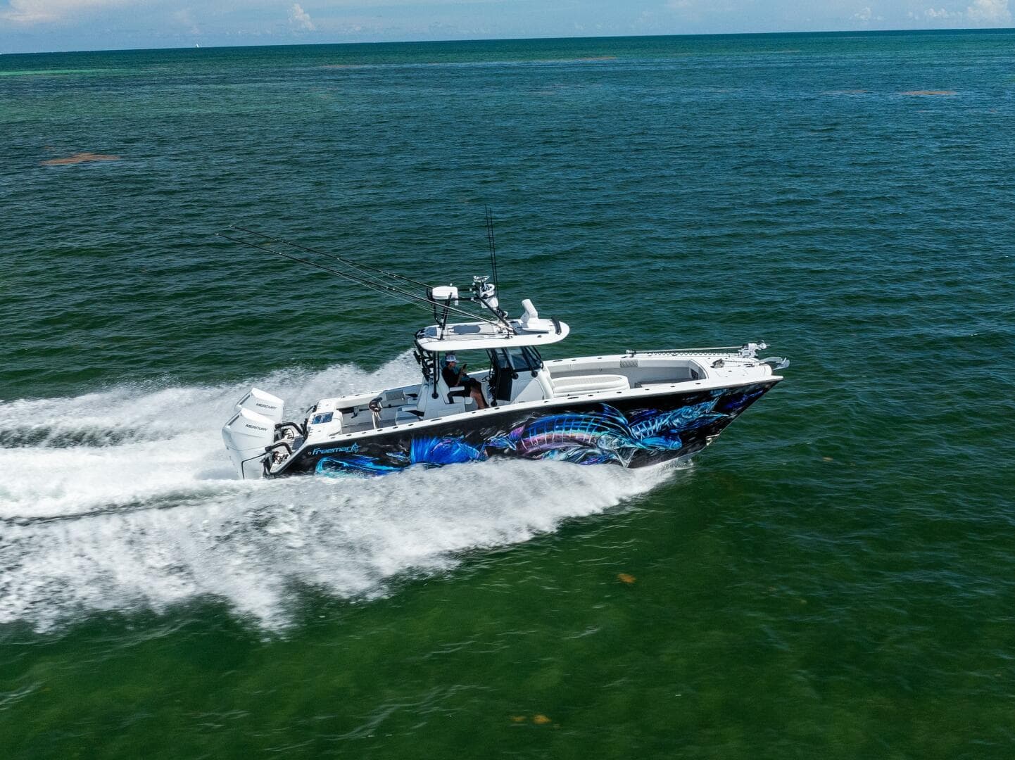 2025 Freeman — photo 9