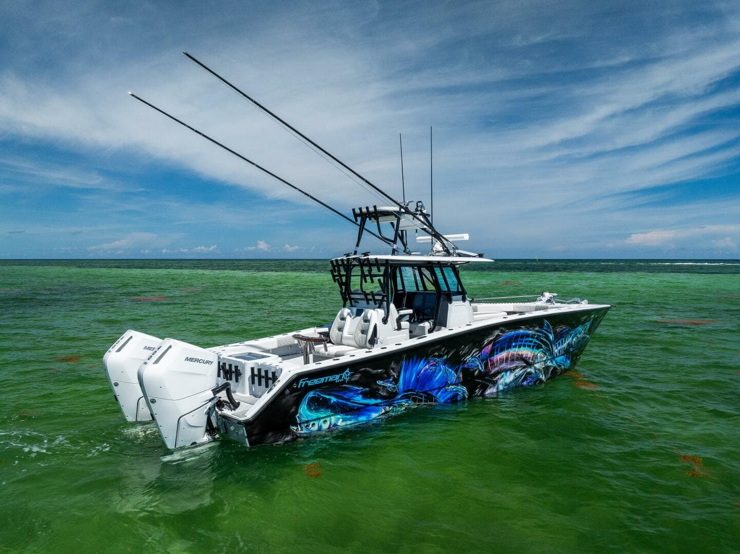 2025 Freeman — photo 7