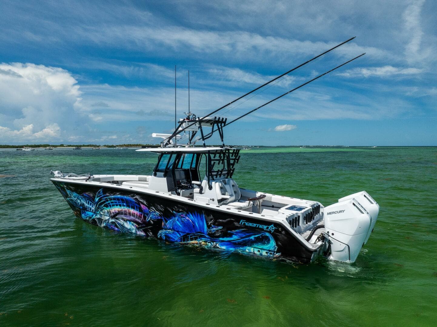 2025 Freeman — photo 4