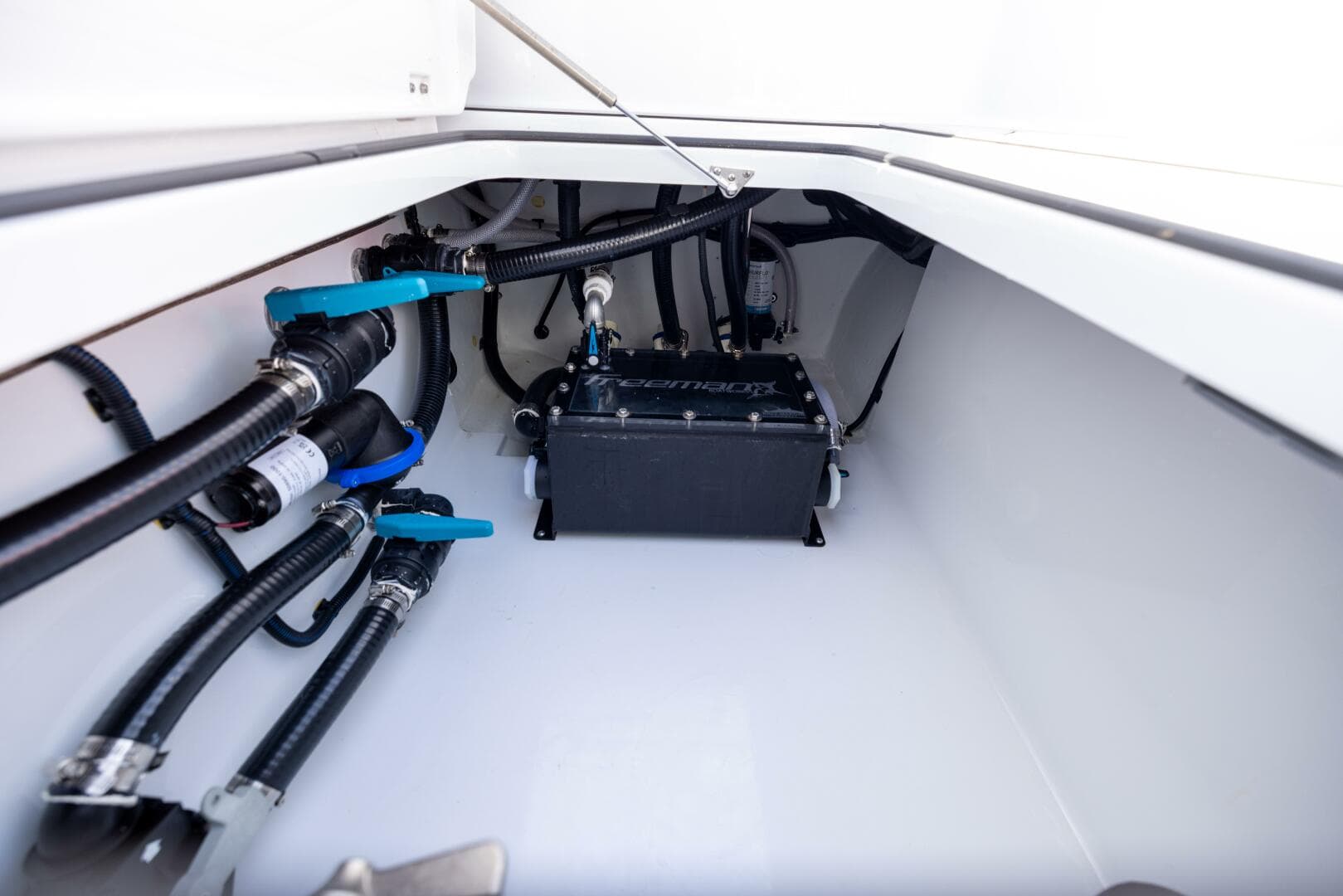 2025 Freeman — photo 64